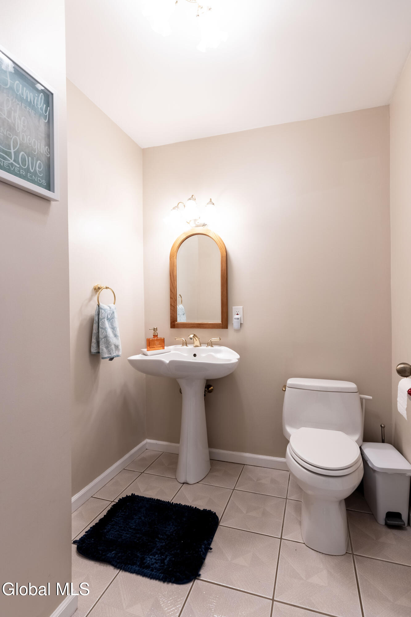 1309 Partridge Drive Castleton NY 12033
