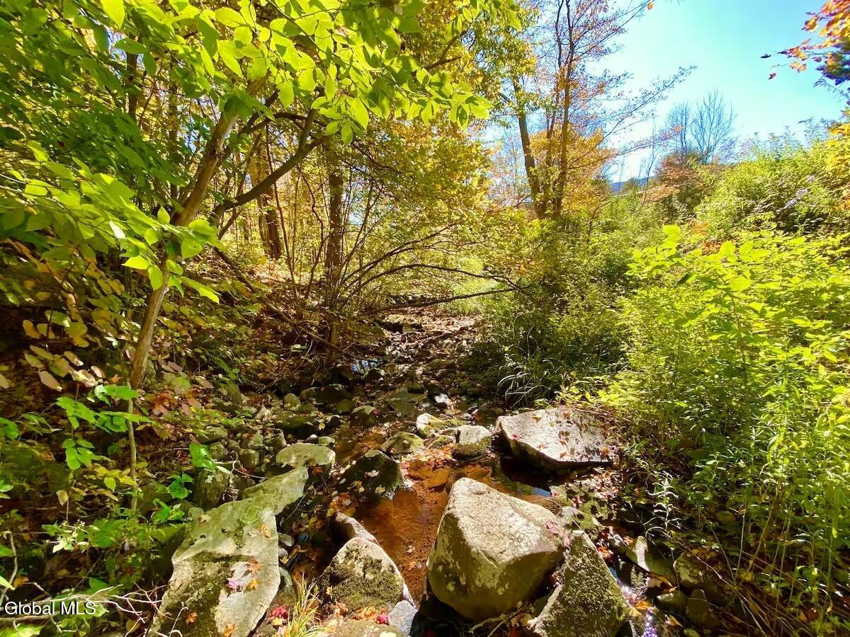 130 Lustig Road Hunter NY 12442