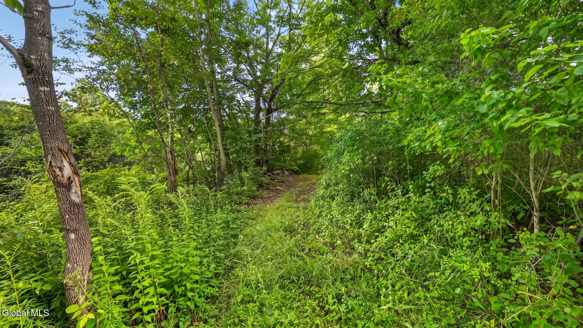149 Duck Farm Road Worcester NY 12197