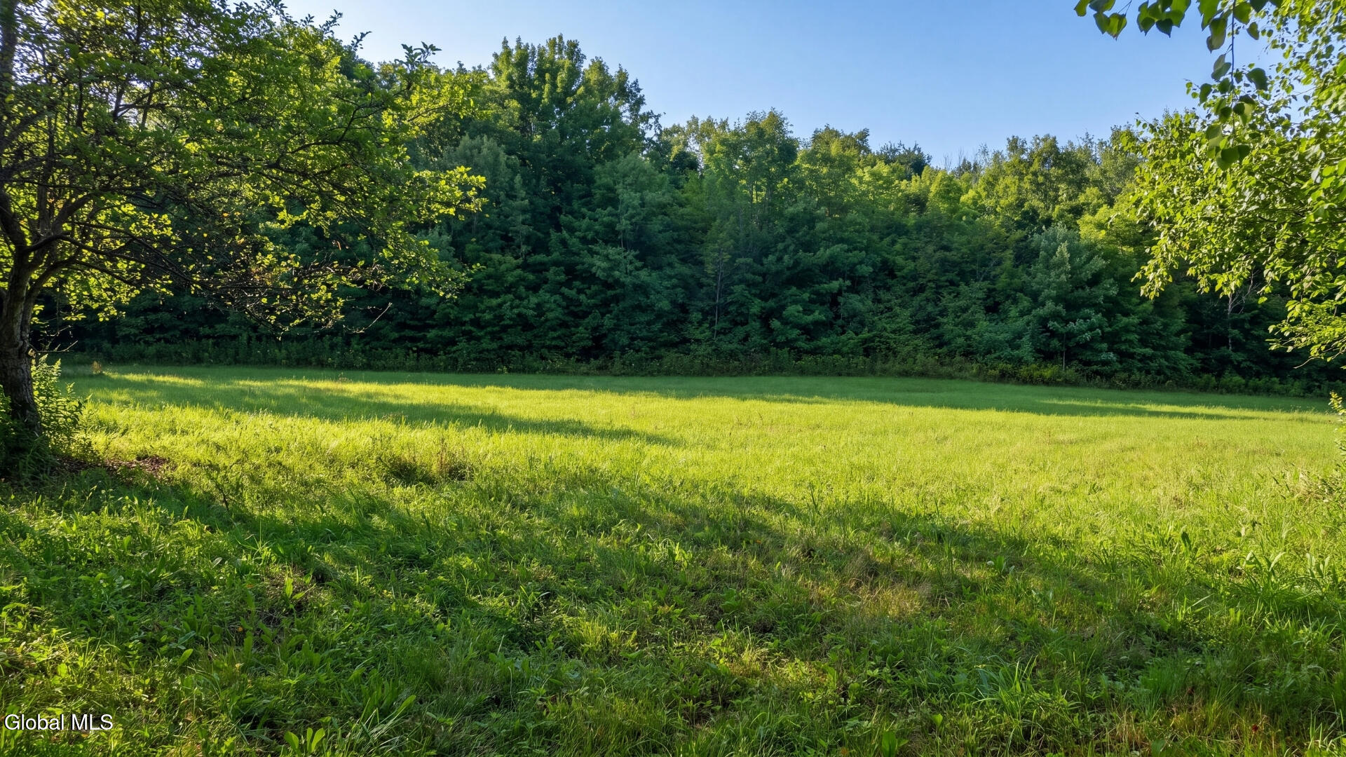 149 Duck Farm Road Worcester NY 12197