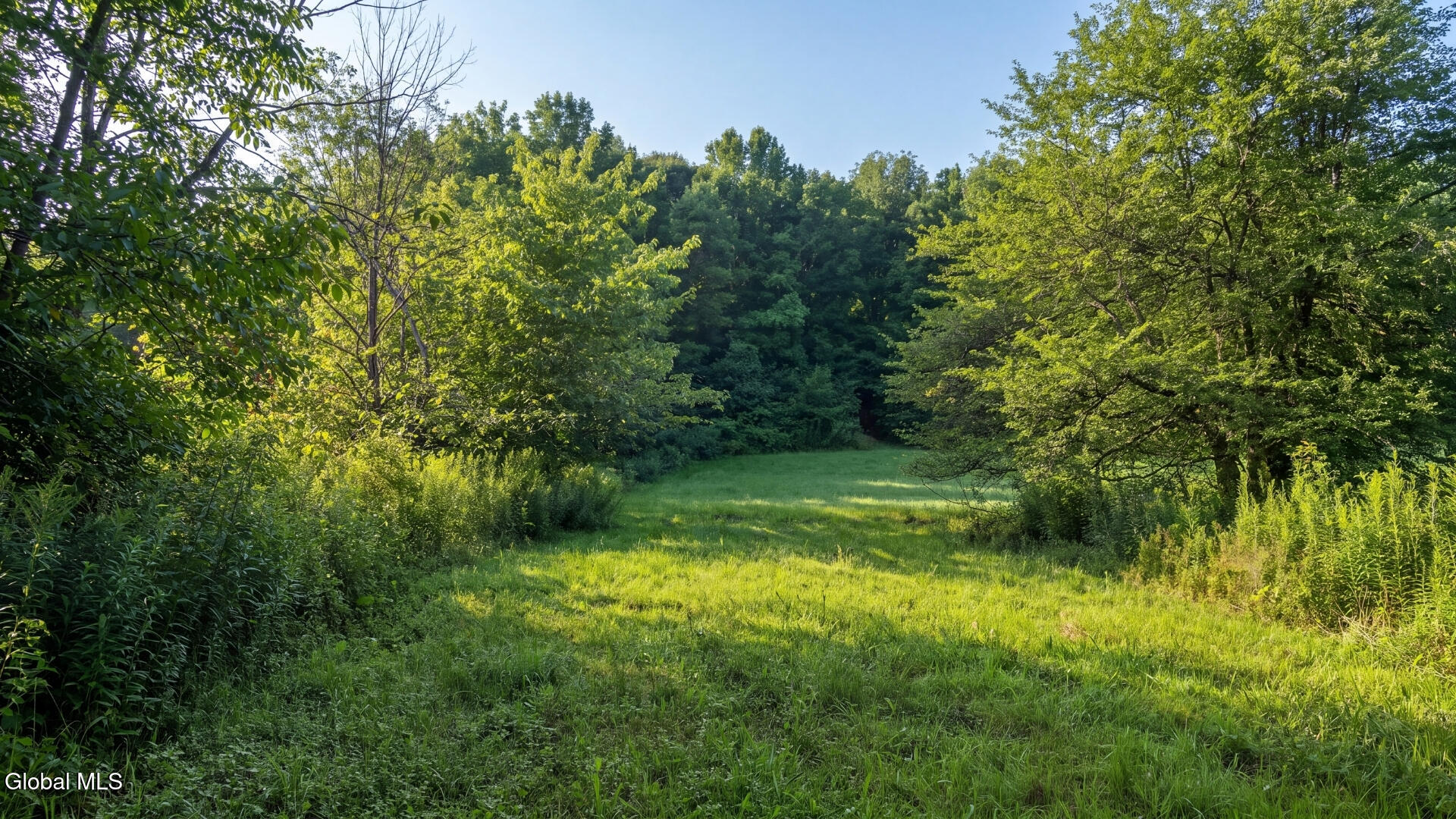 149 Duck Farm Road Worcester NY 12197