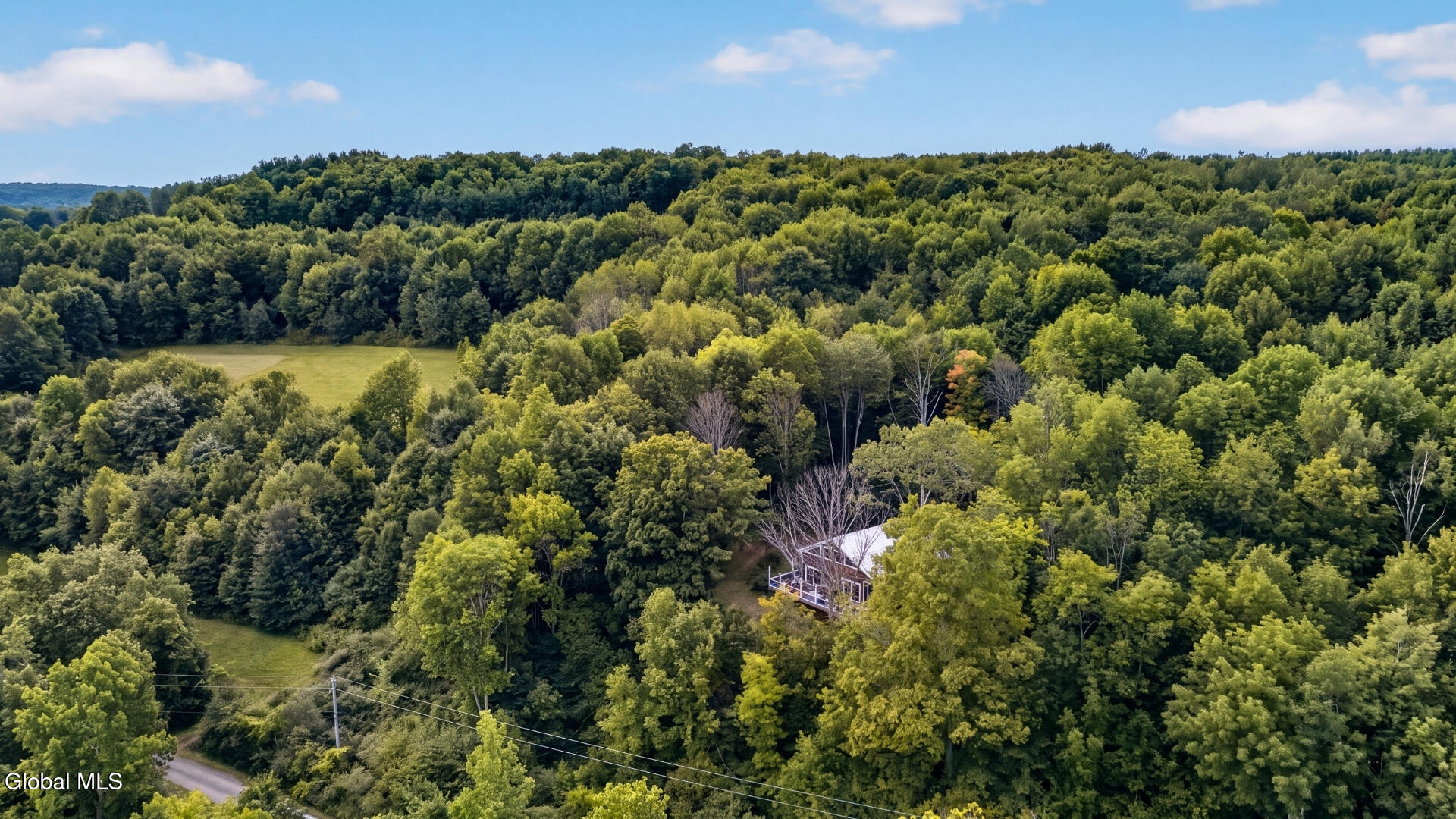149 Duck Farm Road Worcester NY 12197