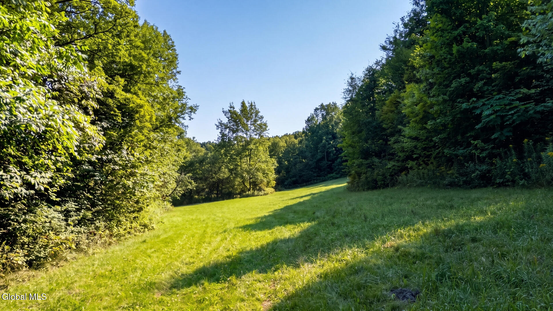 149 Duck Farm Road Worcester NY 12197