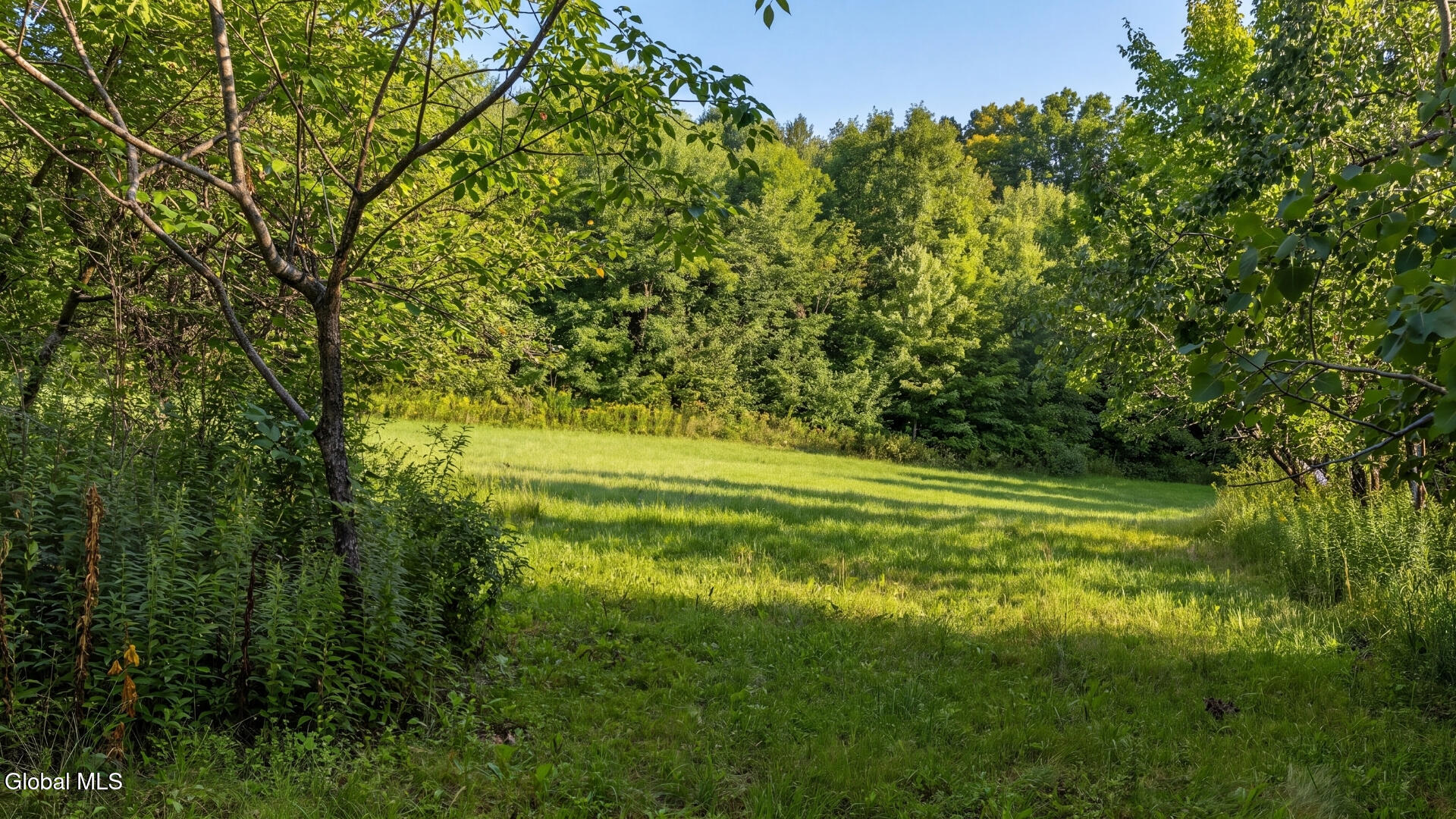 149 Duck Farm Road Worcester NY 12197