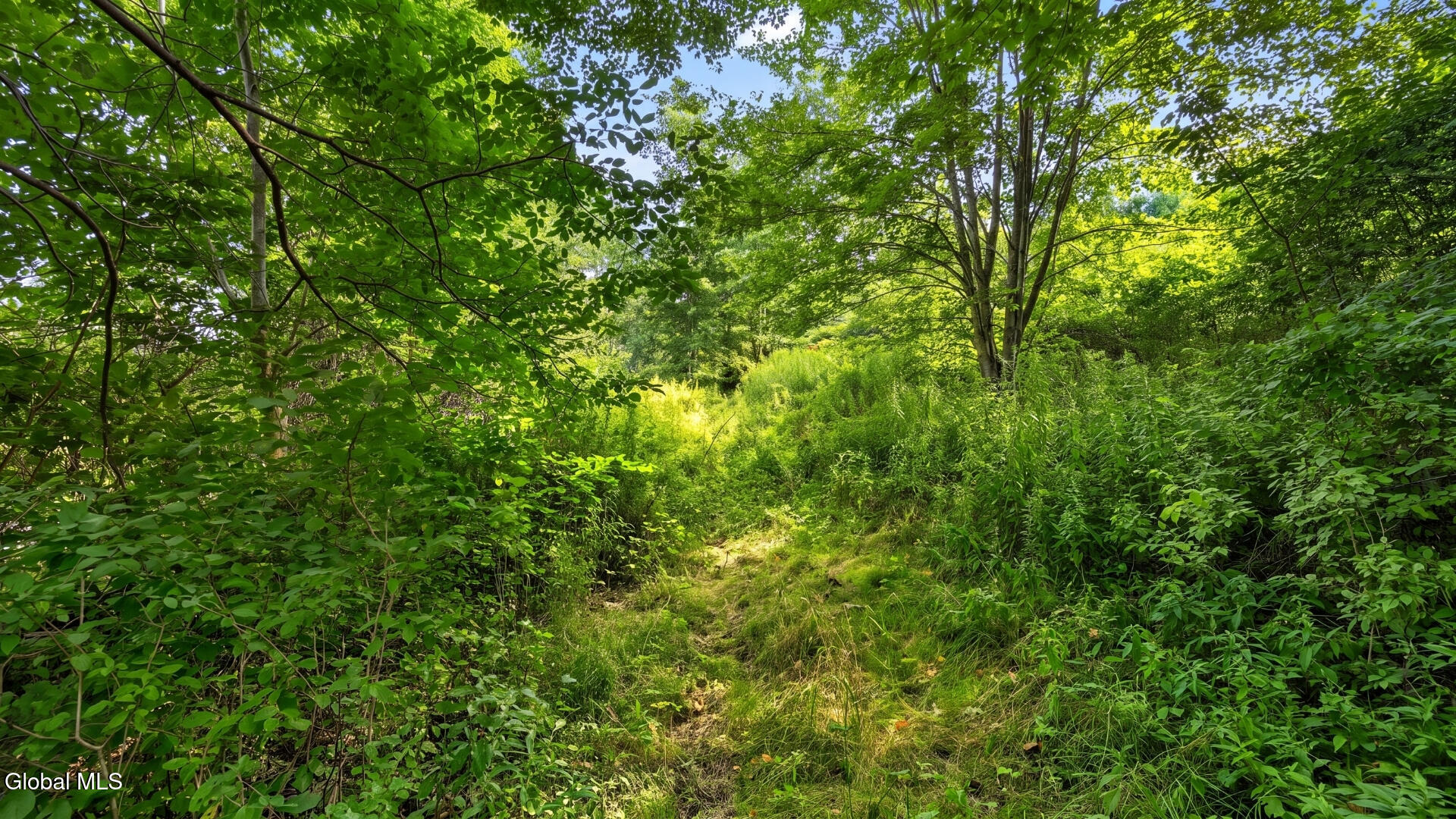149 Duck Farm Road Worcester NY 12197