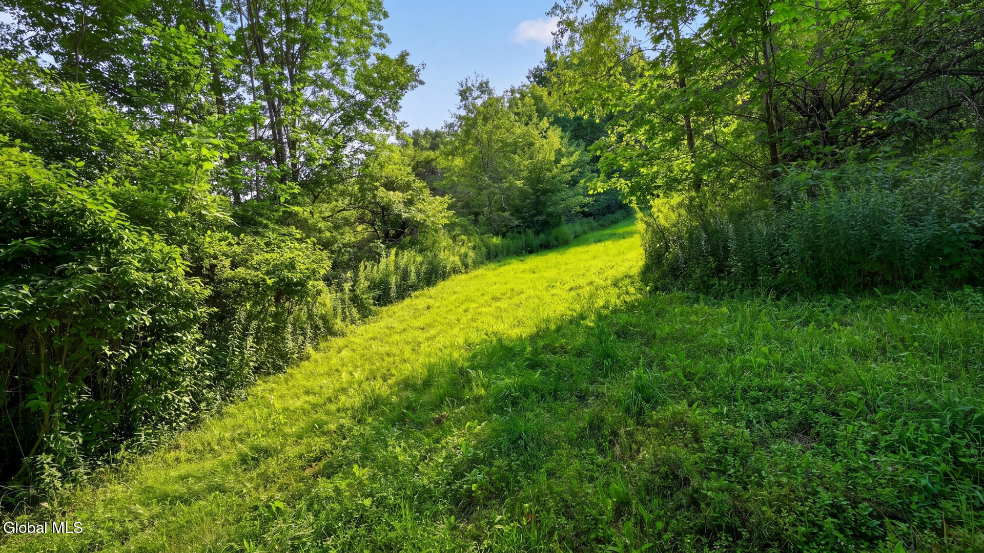 149 Duck Farm Road Worcester NY 12197