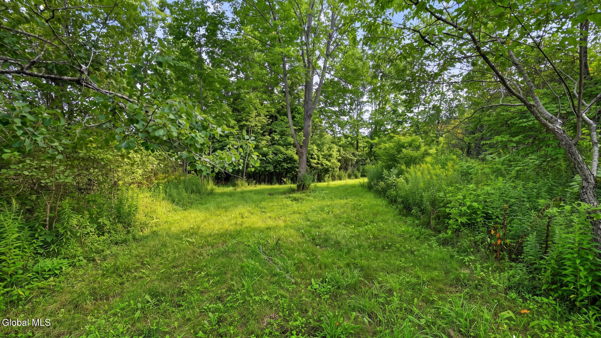 149 Duck Farm Road Worcester NY 12197