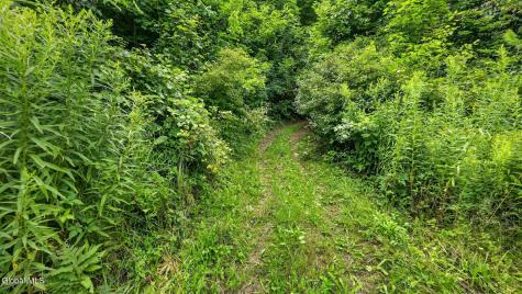 149 Duck Farm Road Worcester NY 12197