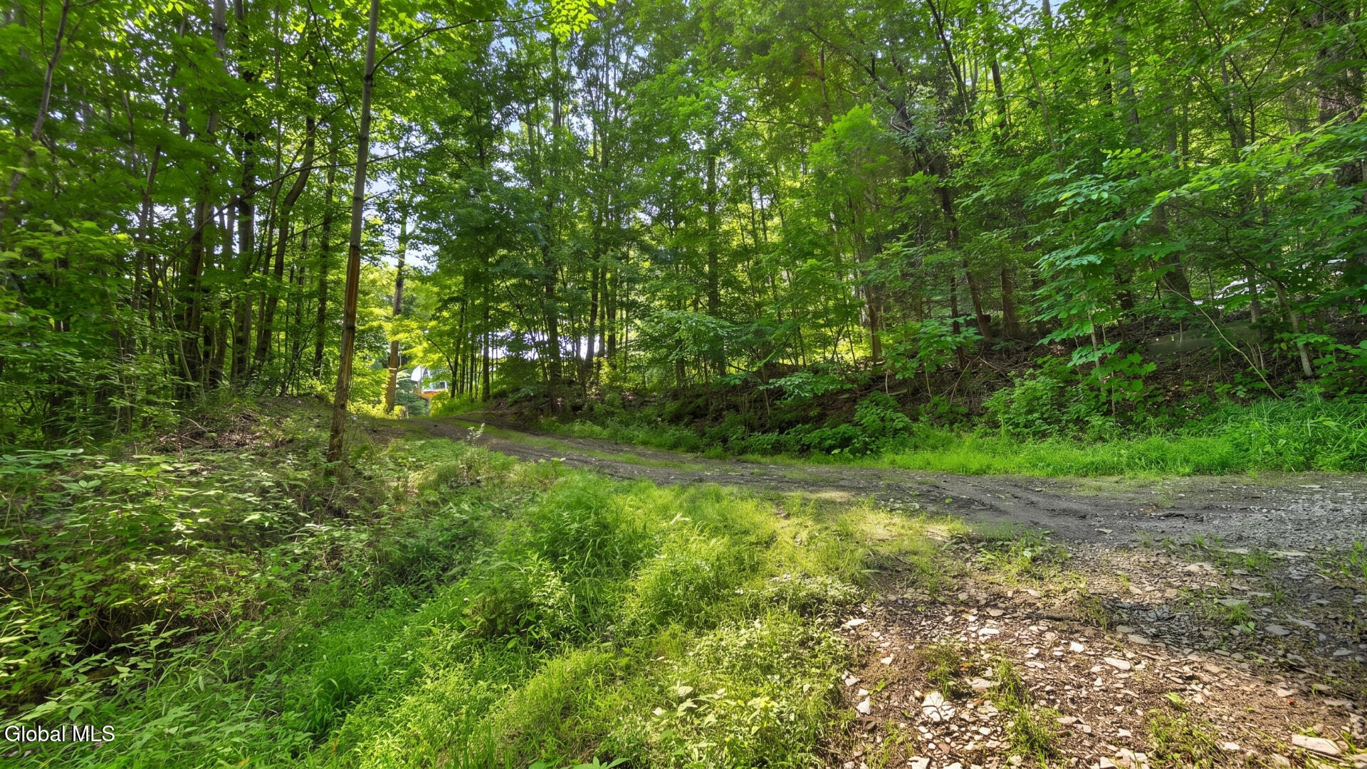 149 Duck Farm Road Worcester NY 12197