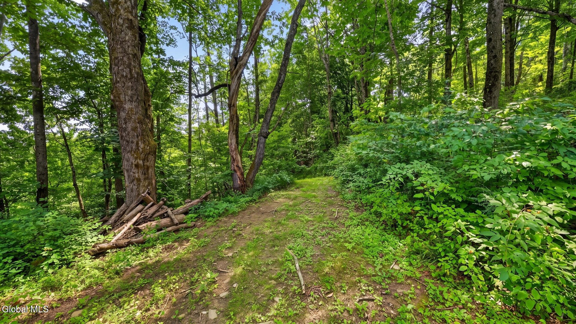 149 Duck Farm Road Worcester NY 12197