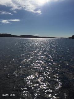 301 S Shore Road Peck Gloversville NY 12078