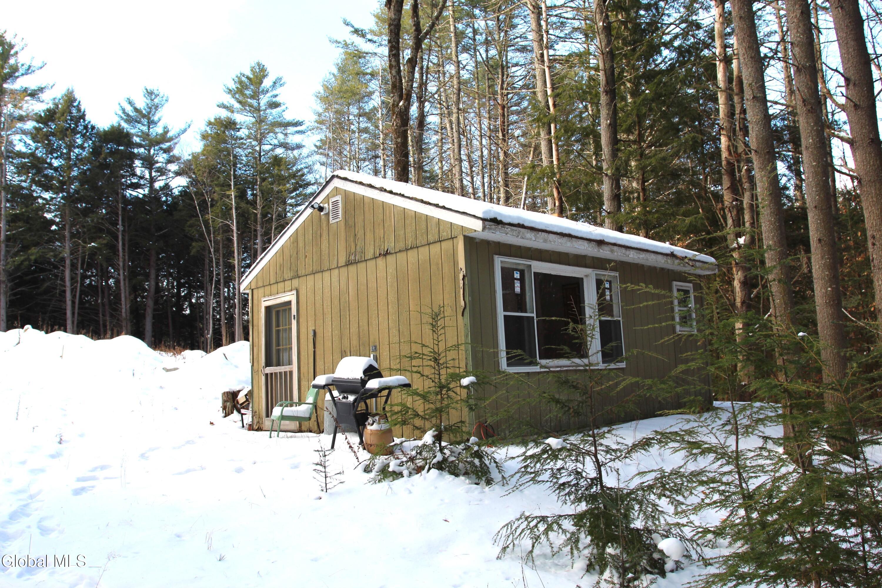 162 Duell Hill Road Brant Lake NY 12815