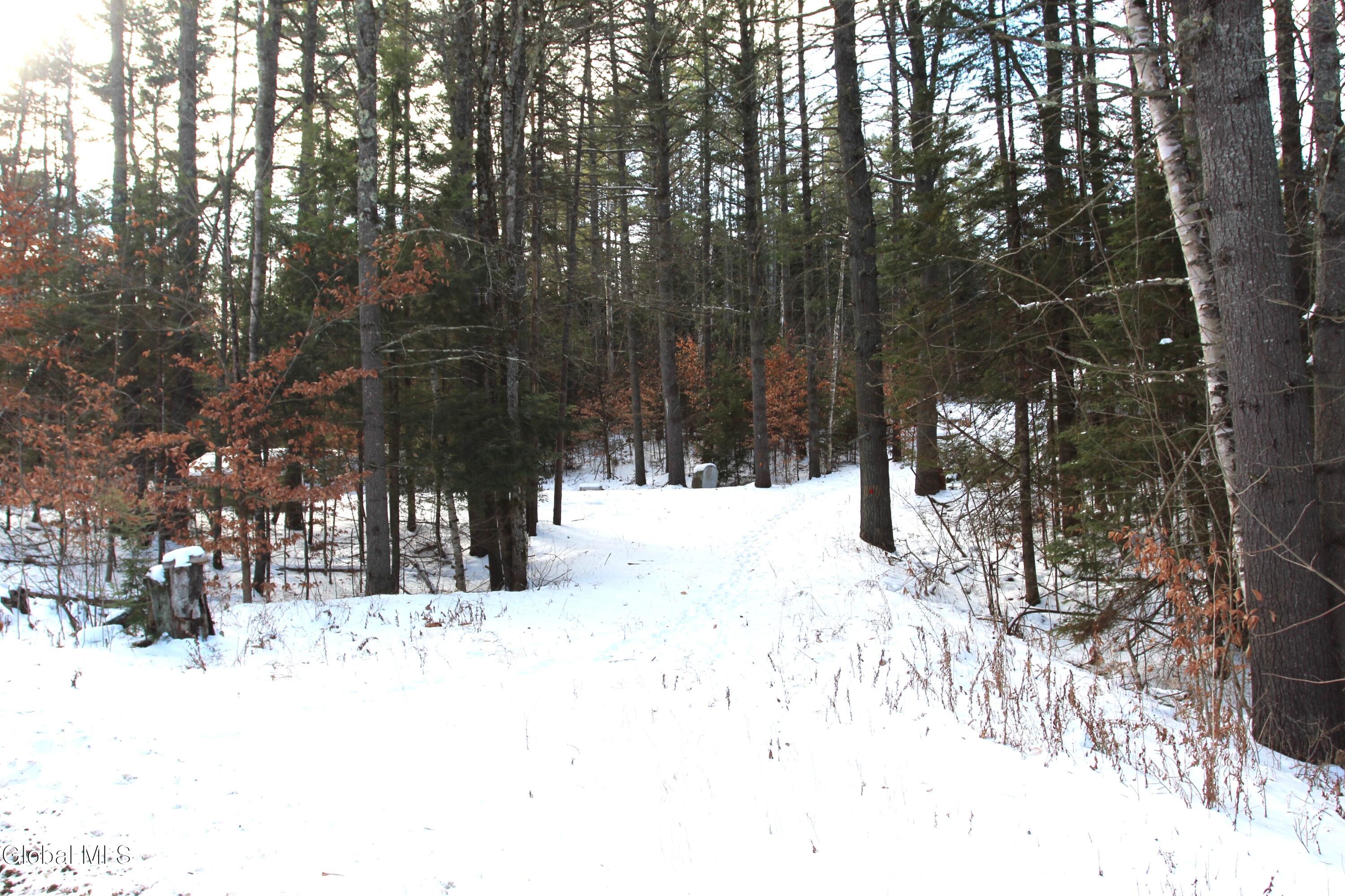 162 Duell Hill Road Brant Lake NY 12815