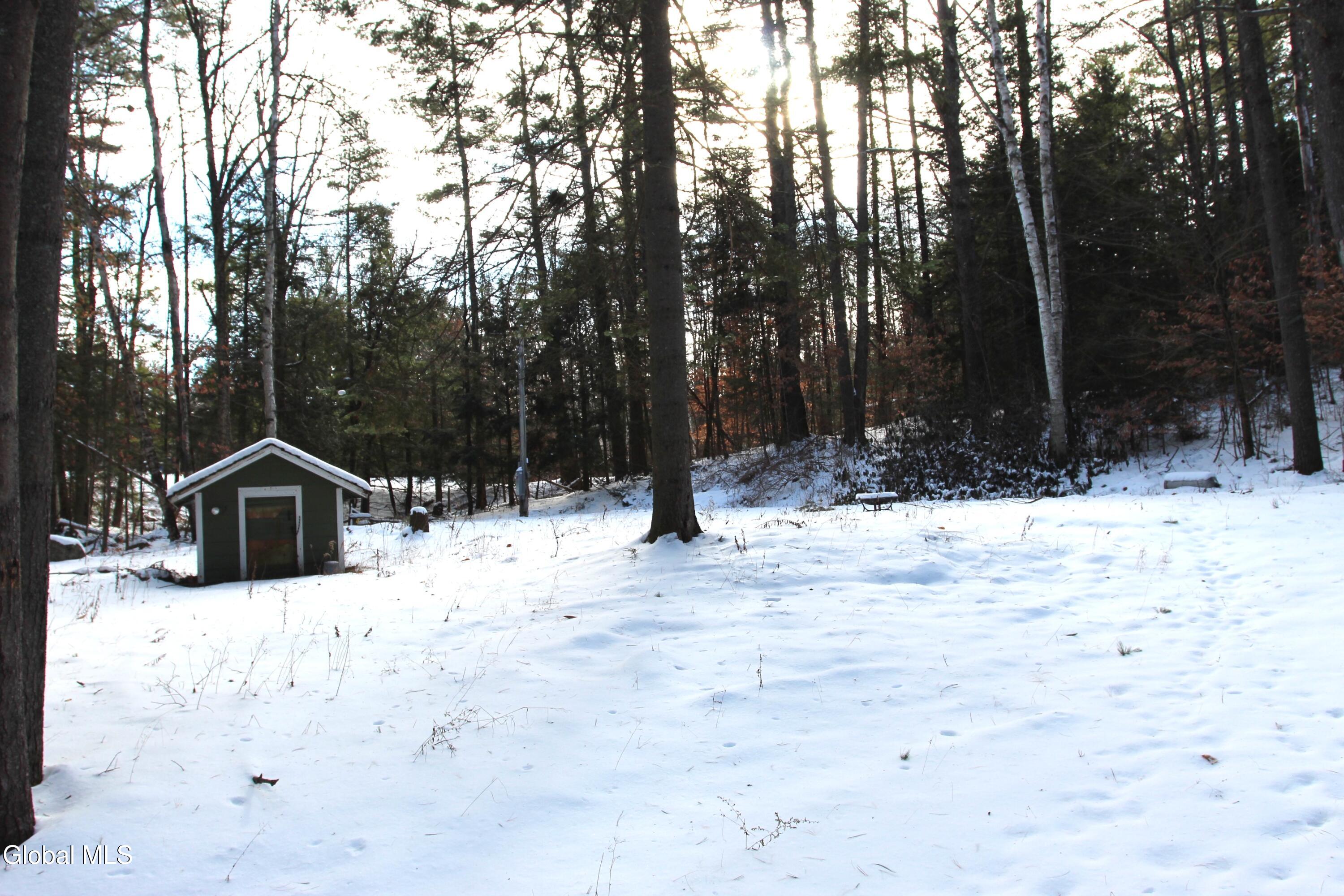 162 Duell Hill Road Brant Lake NY 12815