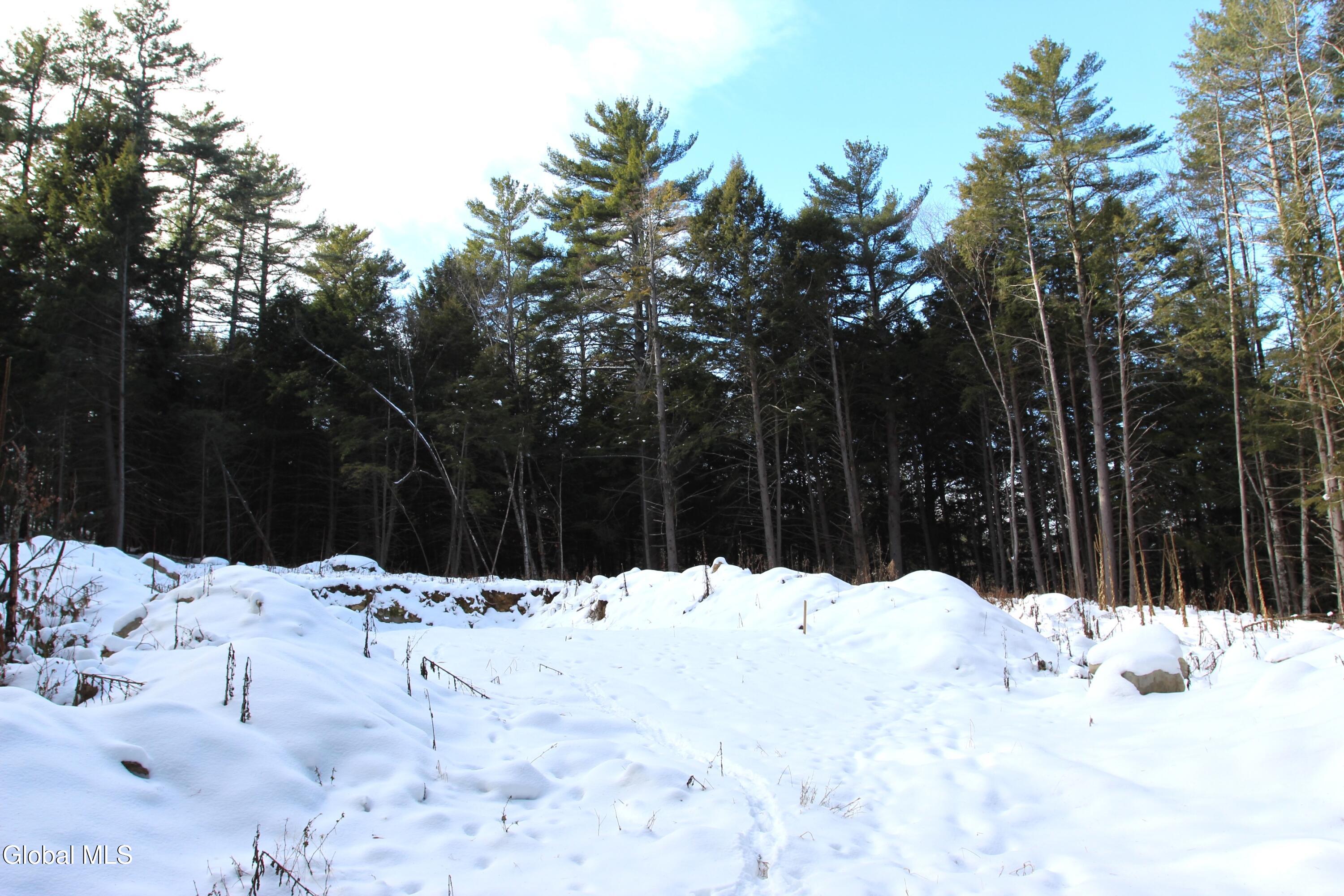 162 Duell Hill Road Brant Lake NY 12815