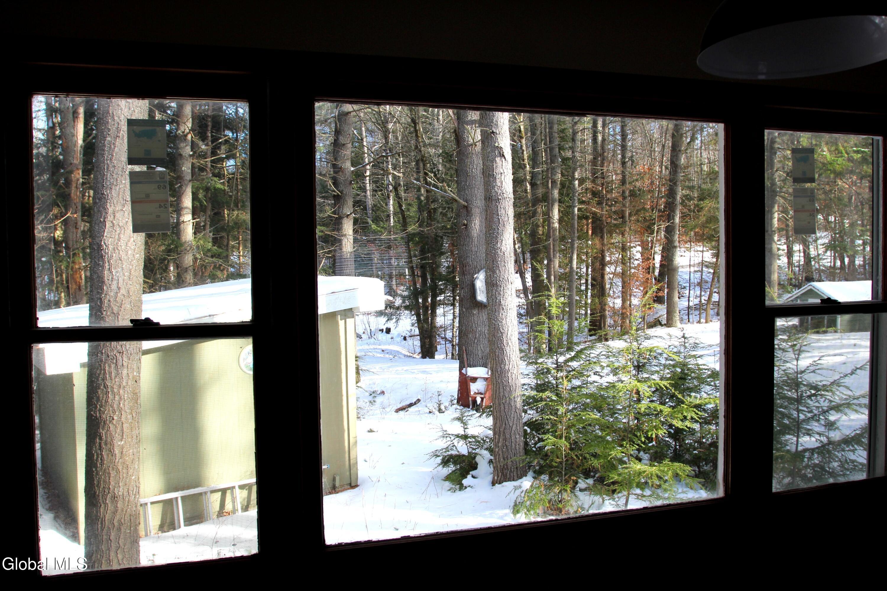 162 Duell Hill Road Brant Lake NY 12815