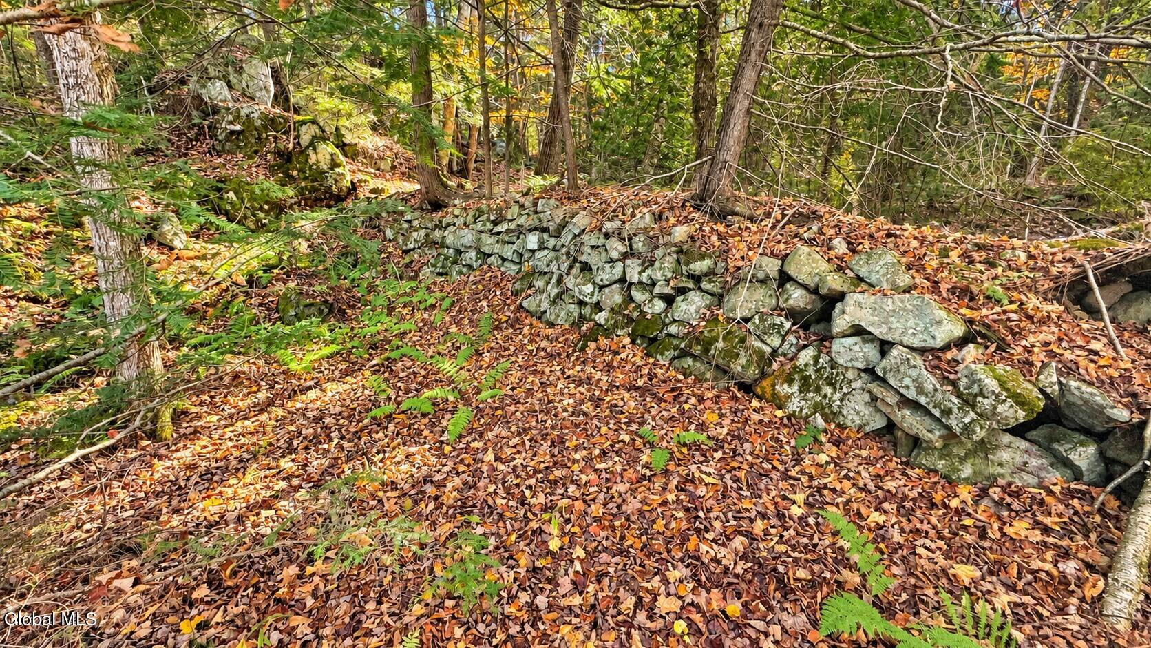 212 Garnet Lake Road Warrensburg NY 12885