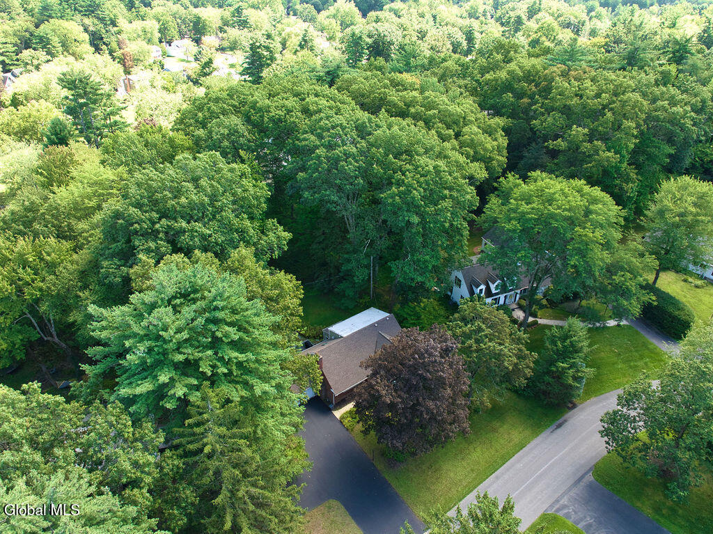 53 Lyons Avenue Delmar NY 12054