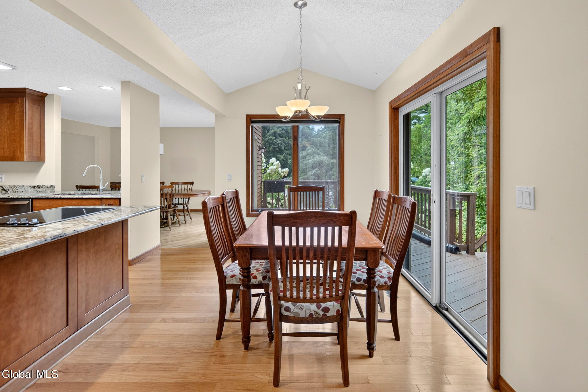 21 Carriage Hill Drive Latham NY 12110