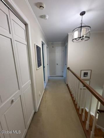 22 Thoroughbred Way Clifton Park NY 12065