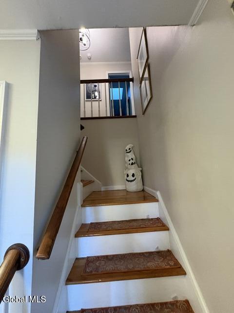 22 Thoroughbred Way Clifton Park NY 12065