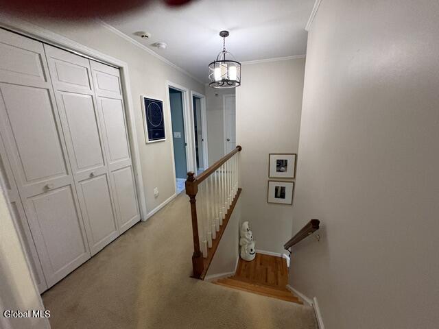 22 Thoroughbred Way Clifton Park NY 12065