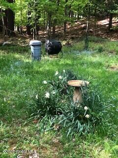 28 Pine Place Hadley NY 12835