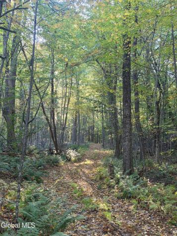 50 Hovey Road Greenfield Center NY 12833