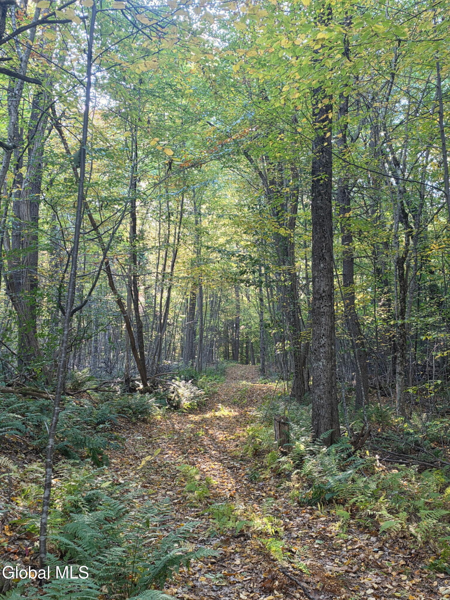 50 Hovey Road Greenfield Center NY 12833