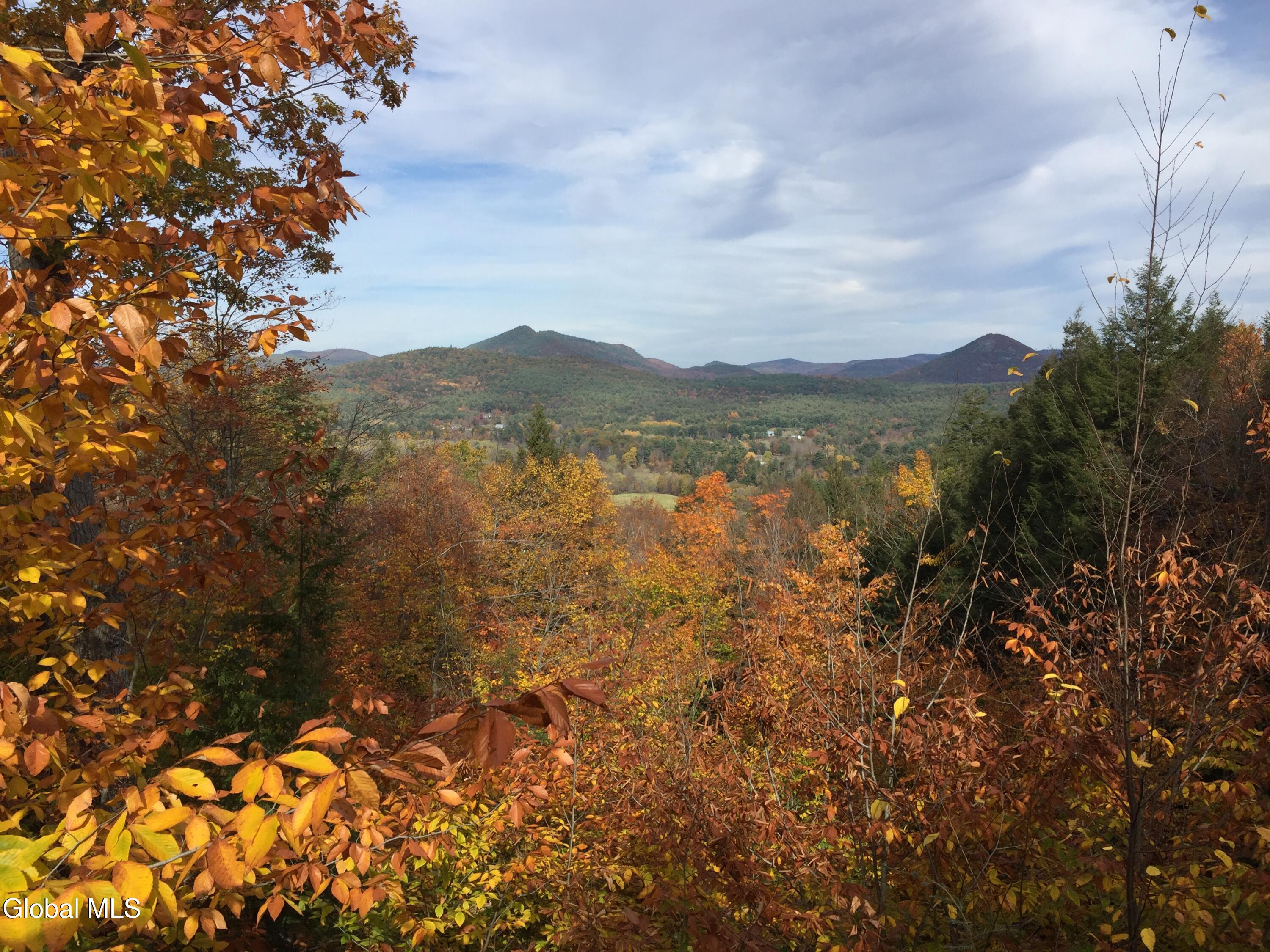 1 Grouse Ridge Road Hadley NY 12835