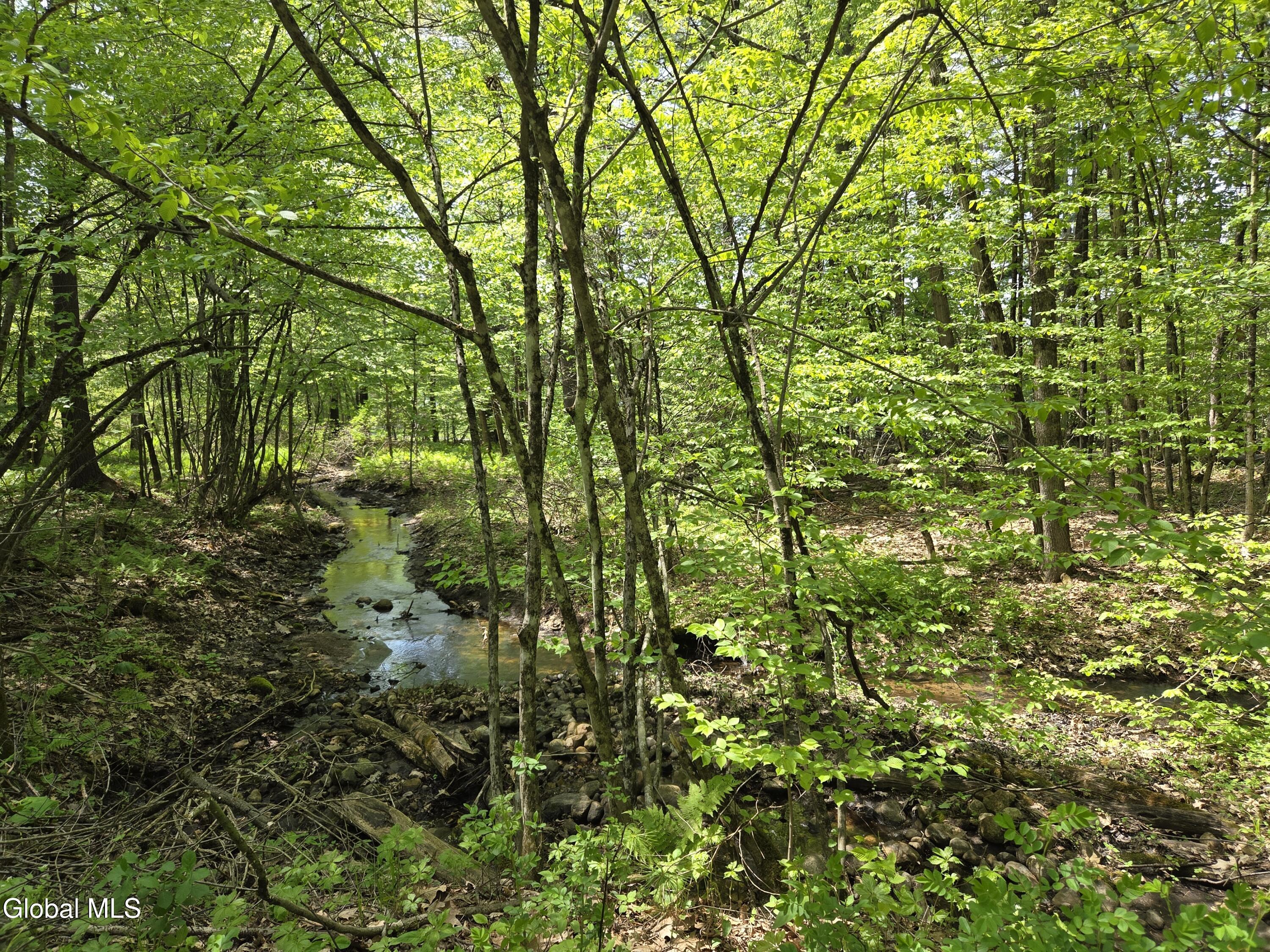 410 Middle Grove Road Middle Grove NY 12850