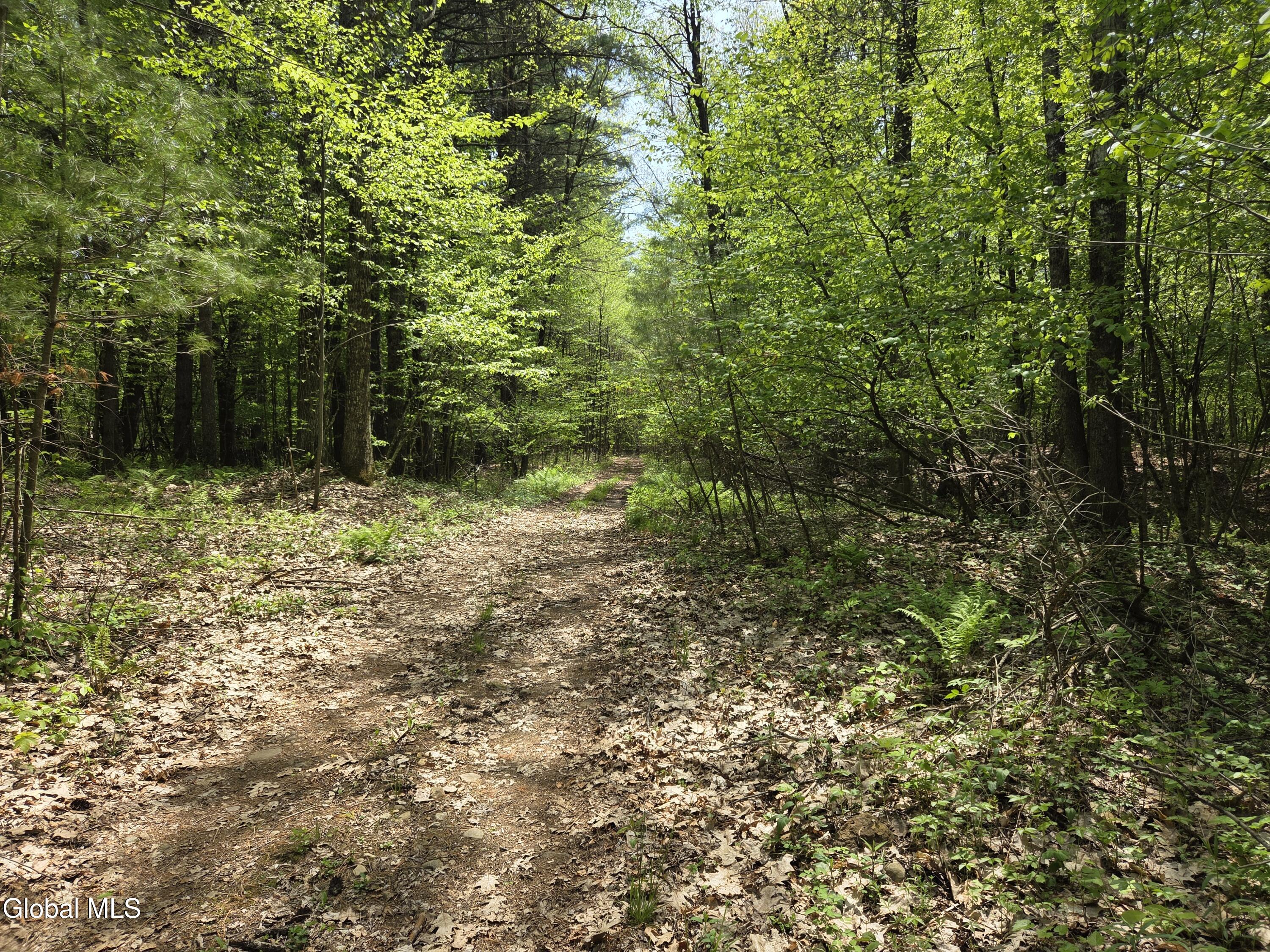 410 Middle Grove Road Middle Grove NY 12850