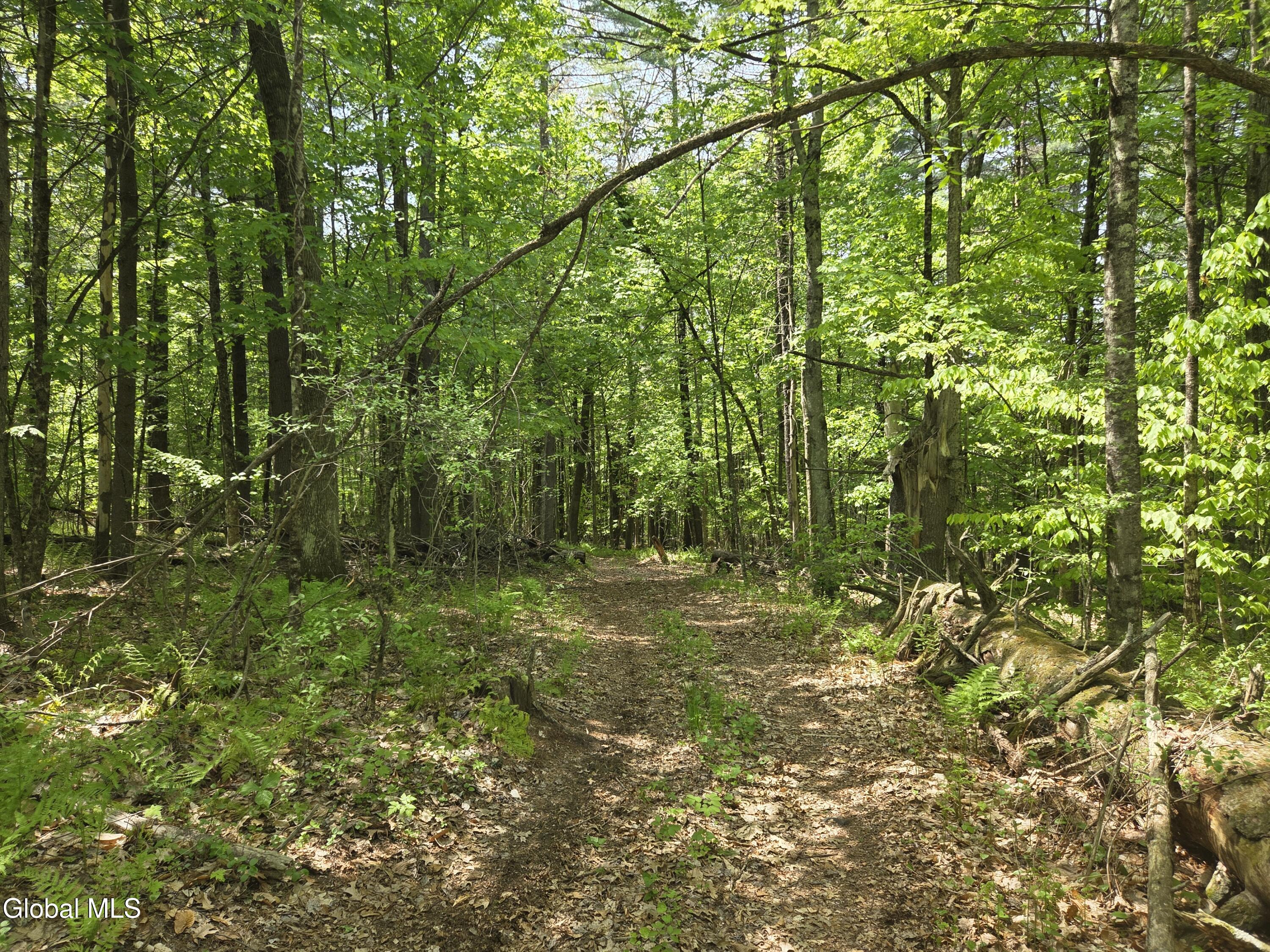410 Middle Grove Road Middle Grove NY 12850