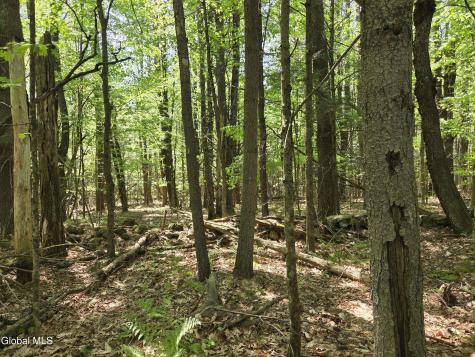 410 Middle Grove Road Middle Grove NY 12850