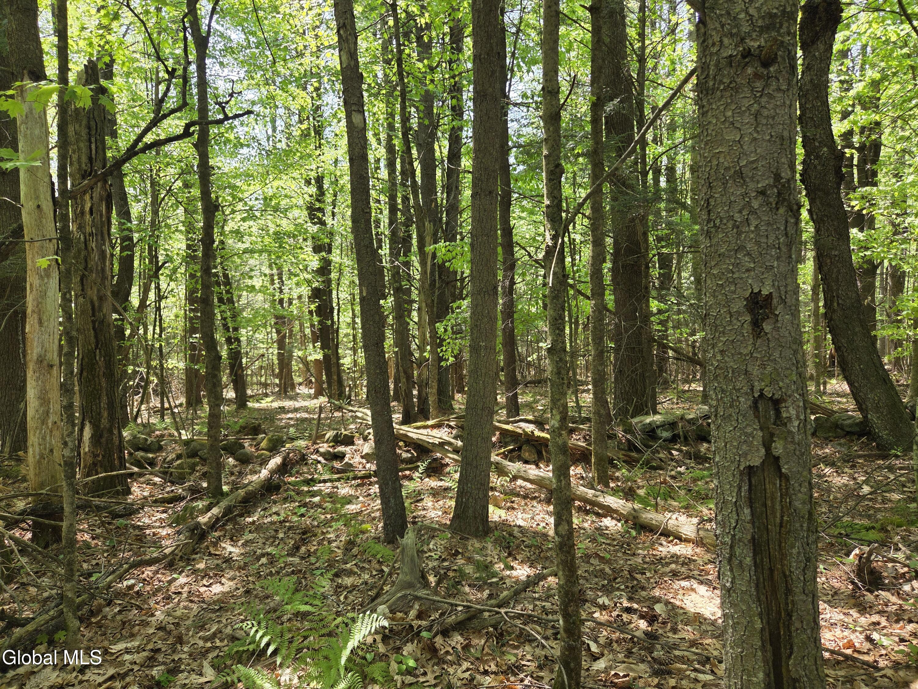 410 Middle Grove Road Middle Grove NY 12850