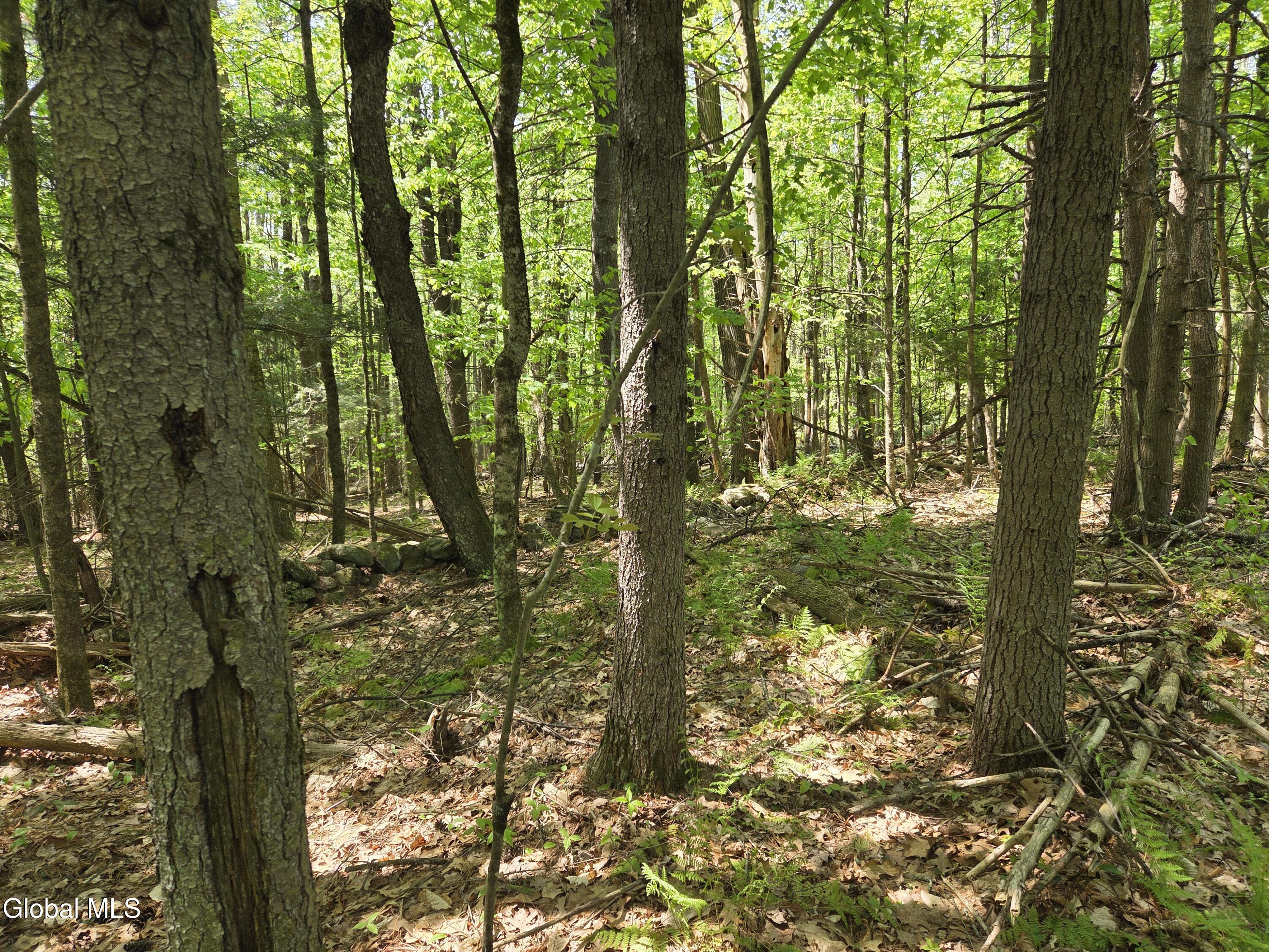 410 Middle Grove Road Middle Grove NY 12850