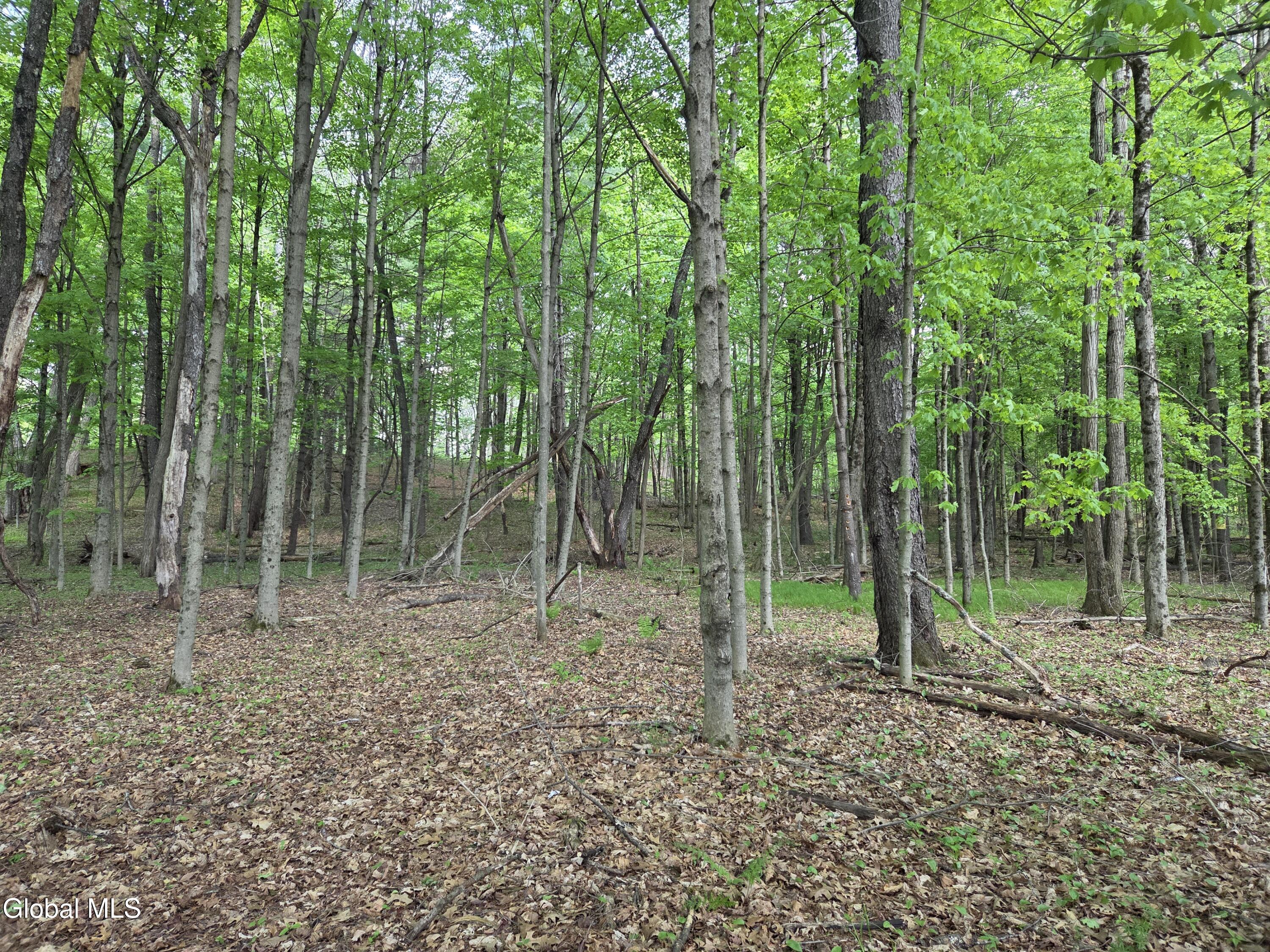 410 Middle Grove Road Middle Grove NY 12850