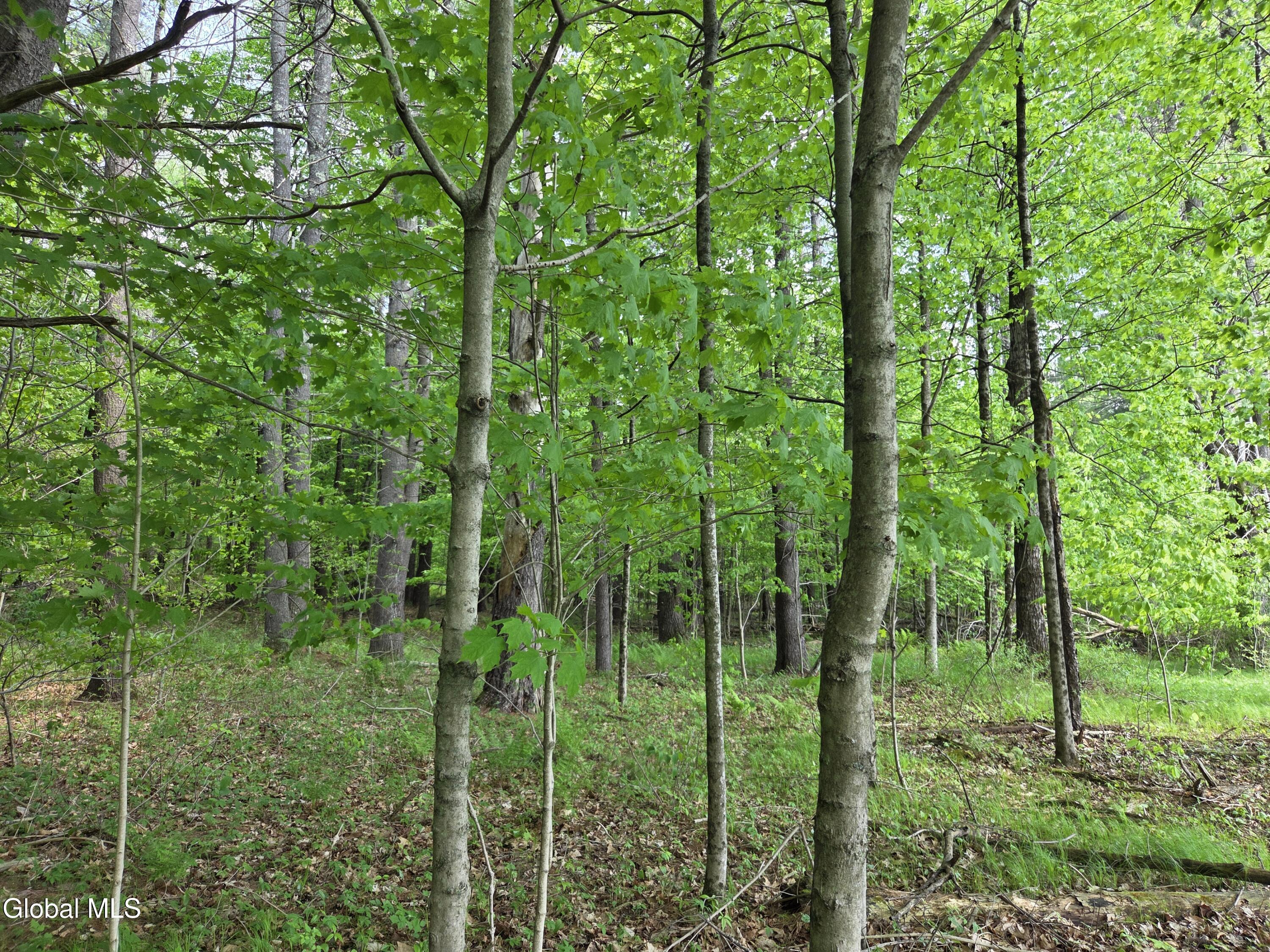 410 Middle Grove Road Middle Grove NY 12850