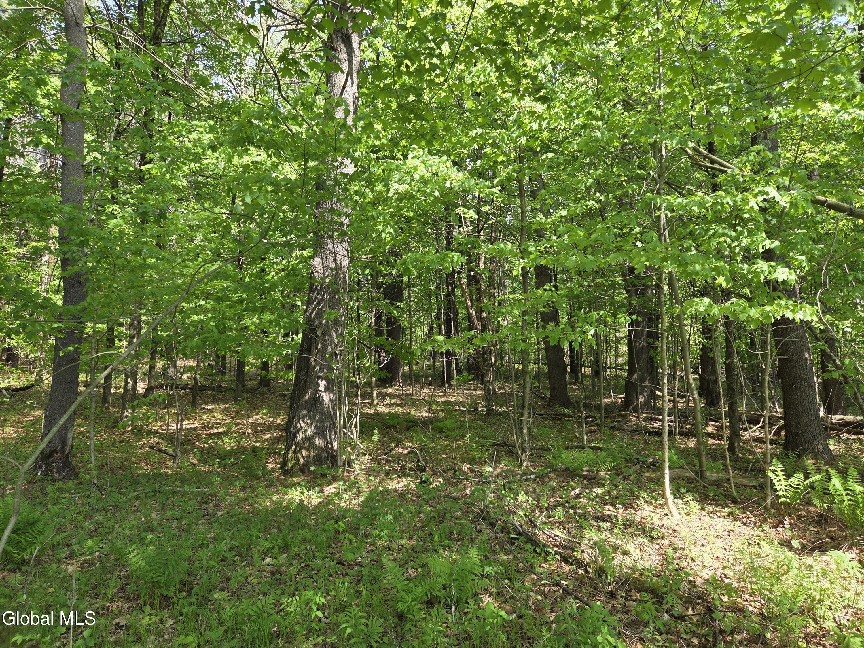 410 Middle Grove Road Middle Grove NY 12850
