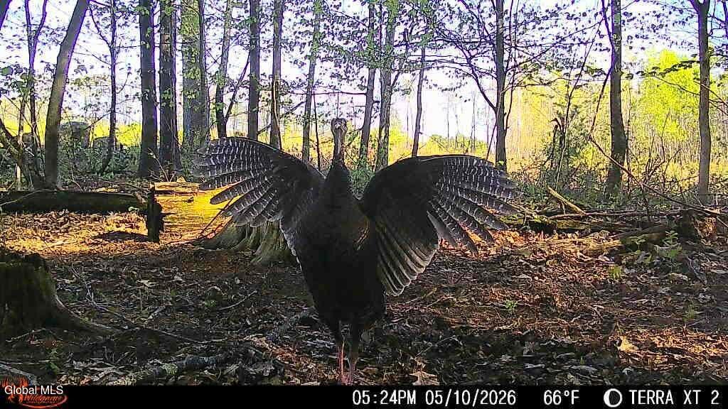 410 Middle Grove Road Middle Grove NY 12850