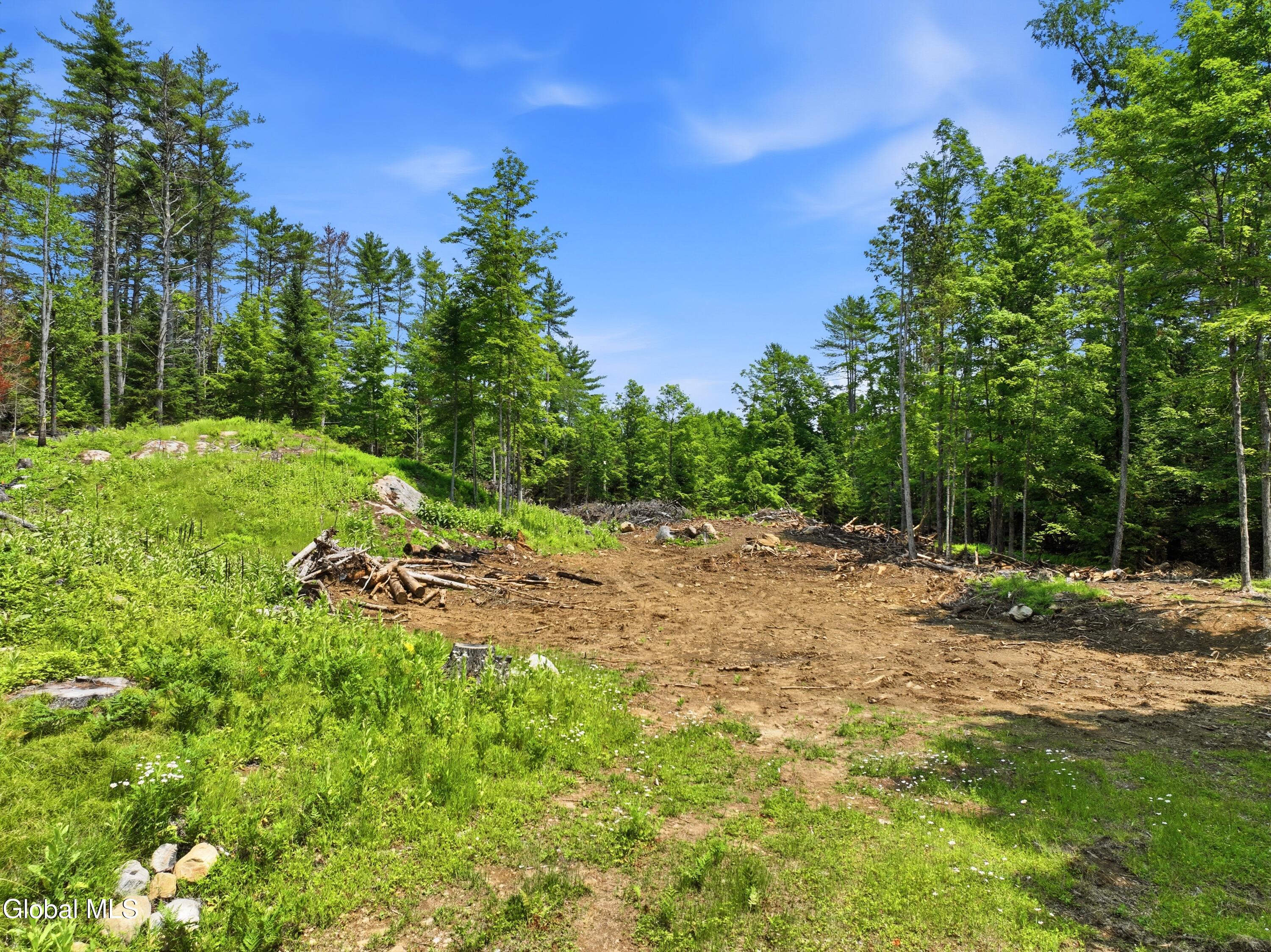 3312 E Schroon River Road Pottersville NY 12860