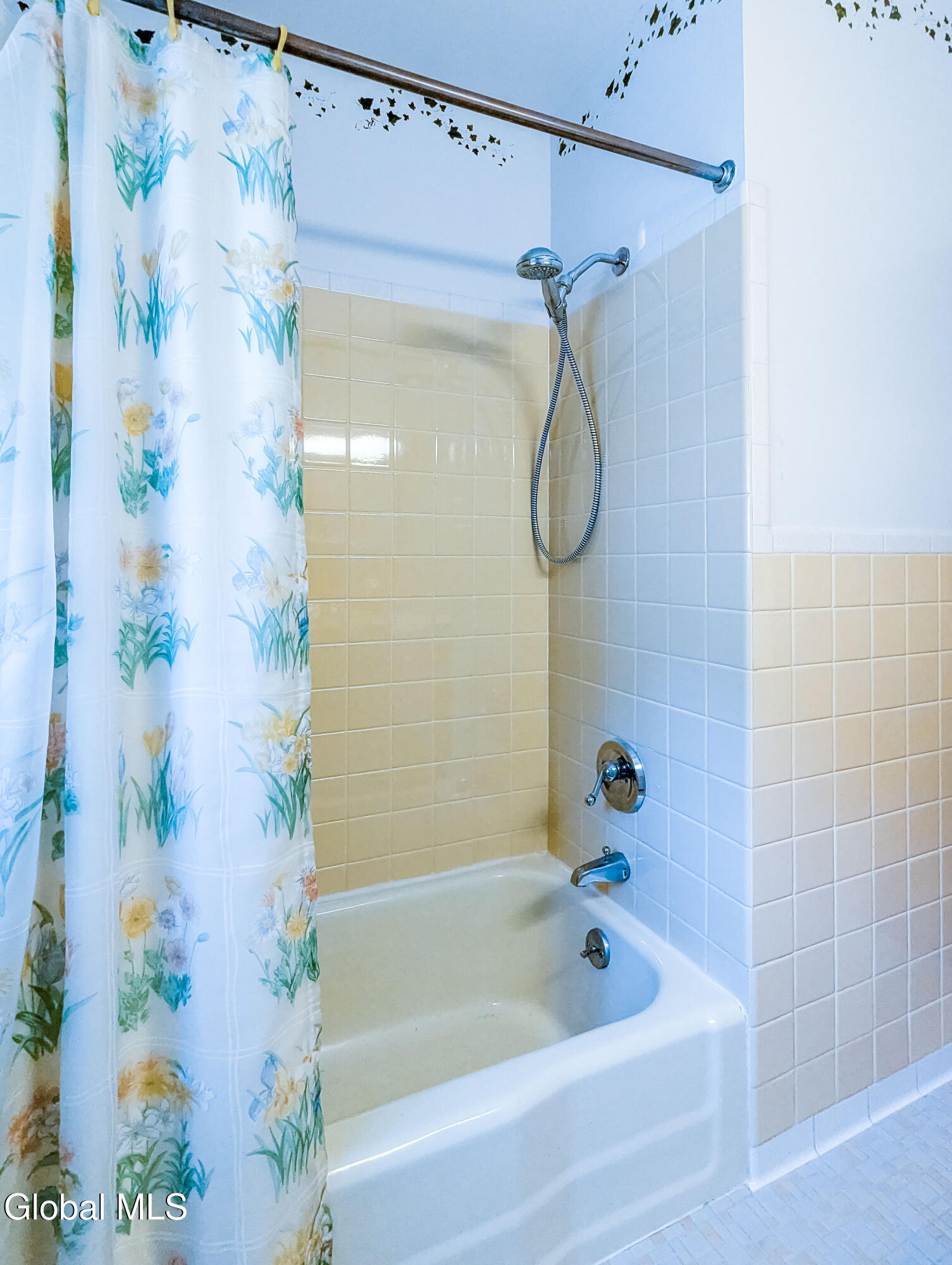 25 White Birch Lane West Coxsackie NY 12192