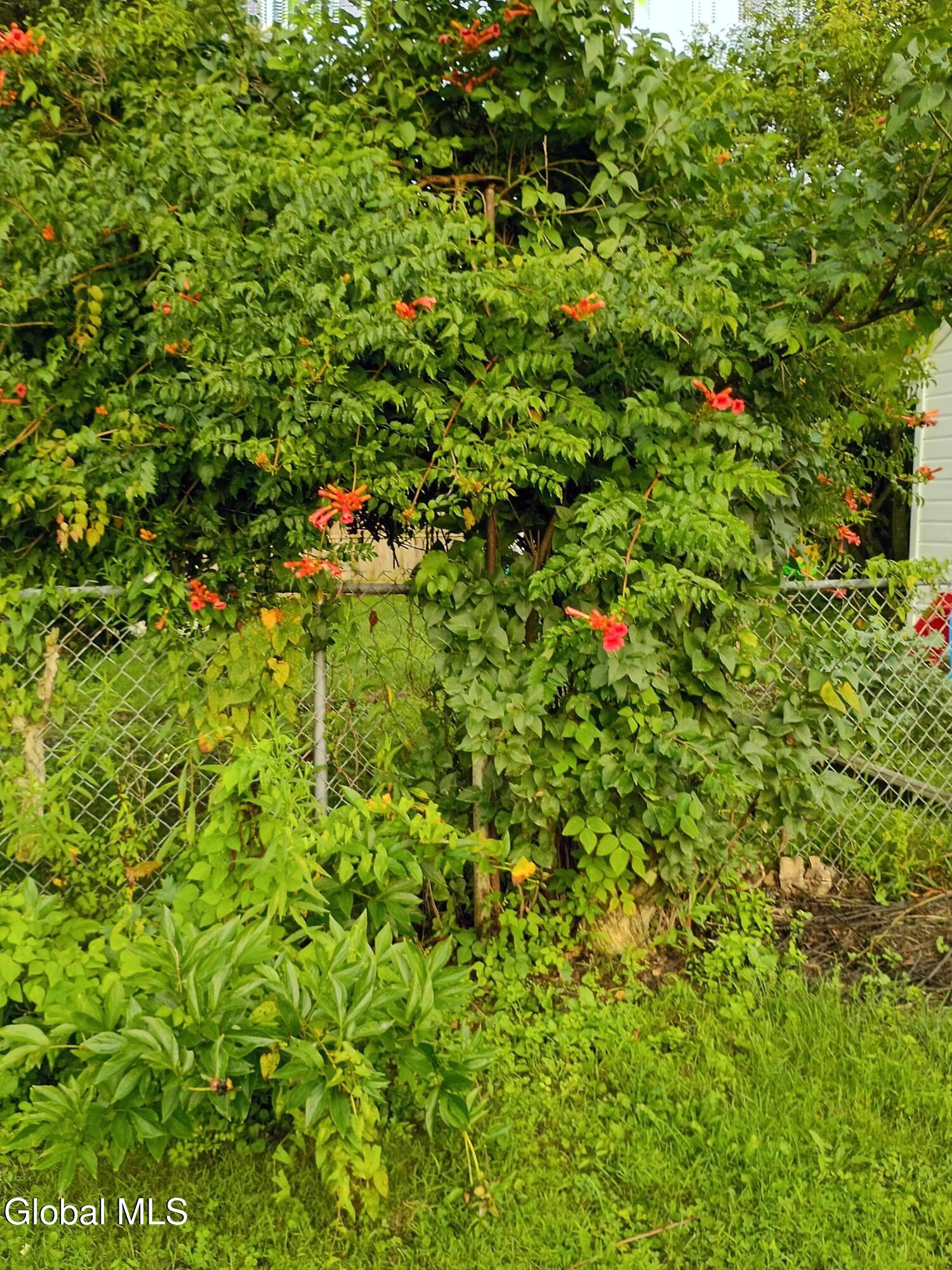 520 Elliott Street Glenville NY 12302