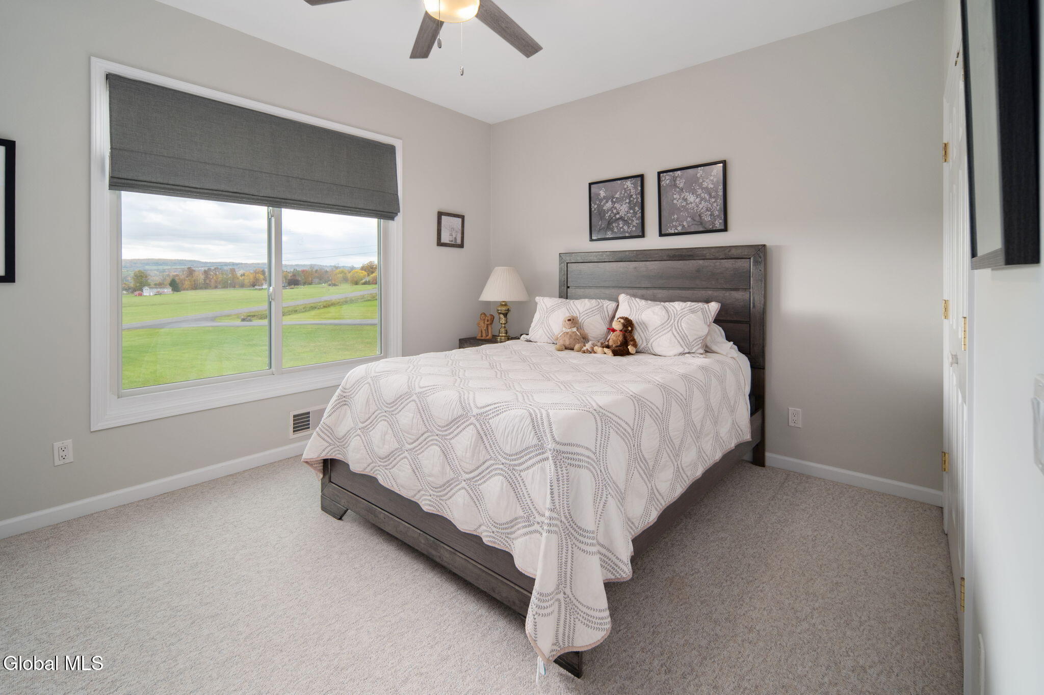 257 Feuz Terrace Esperance NY 12066