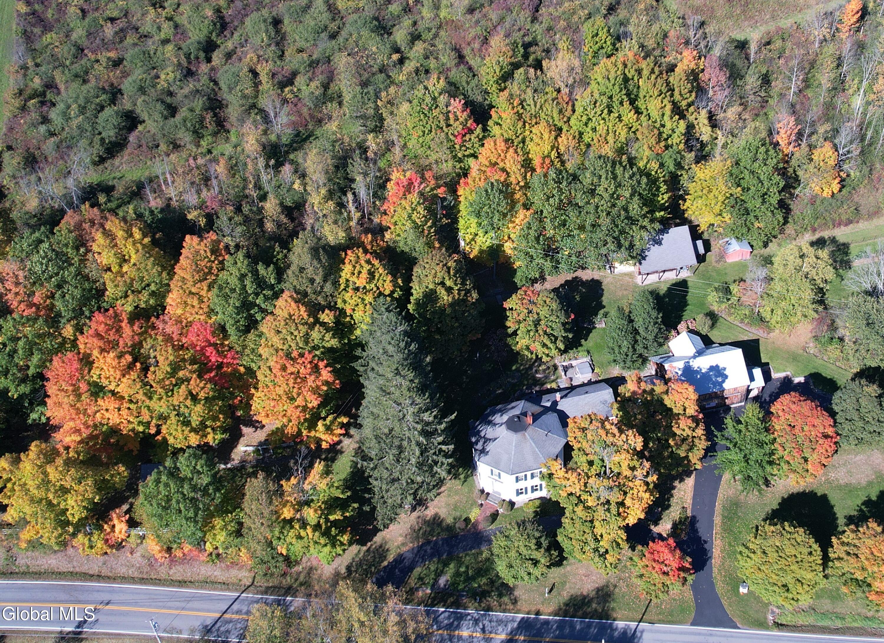 1236 Mcguire School Road Delanson NY 12053