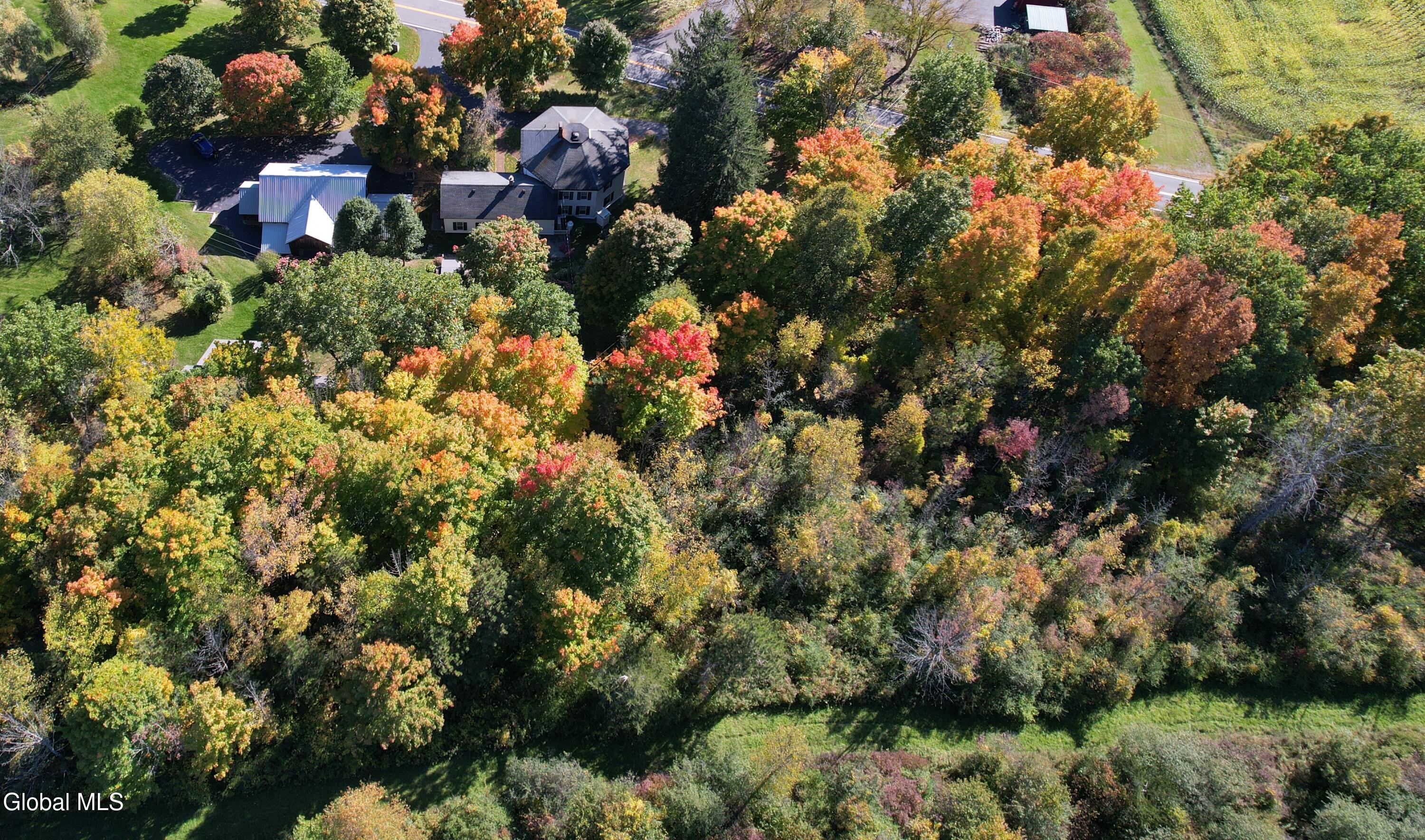 1236 Mcguire School Road Delanson NY 12053
