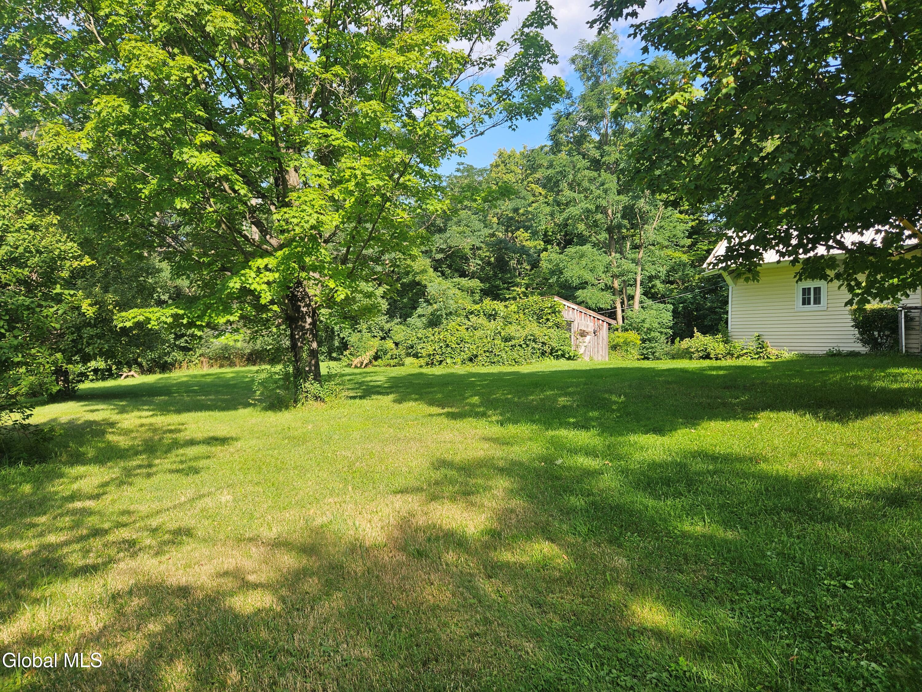 1235 Grovenors Corners Road Cental Bridge NY 12035
