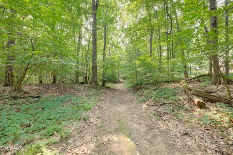 38 Shadow Wood Way Ballston Lake NY 12019