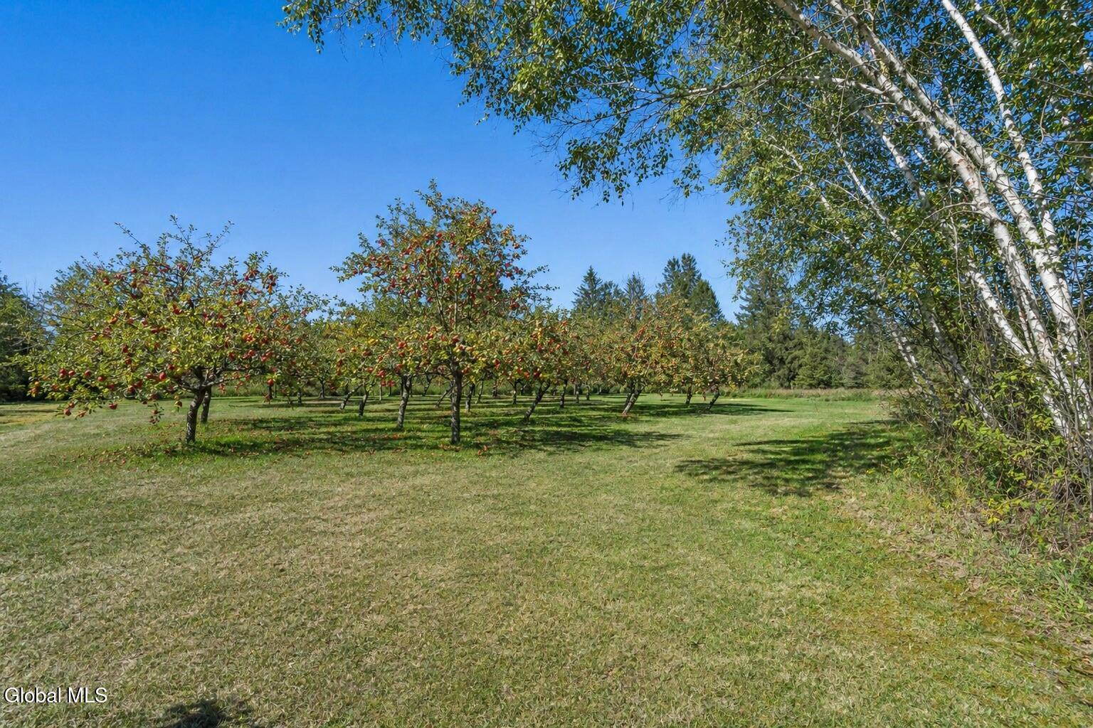 354 Bogden Road Broadalbin NY 12025