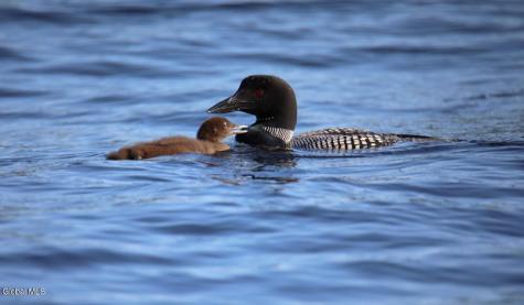 22 Memory Lane Chestertown NY 12817